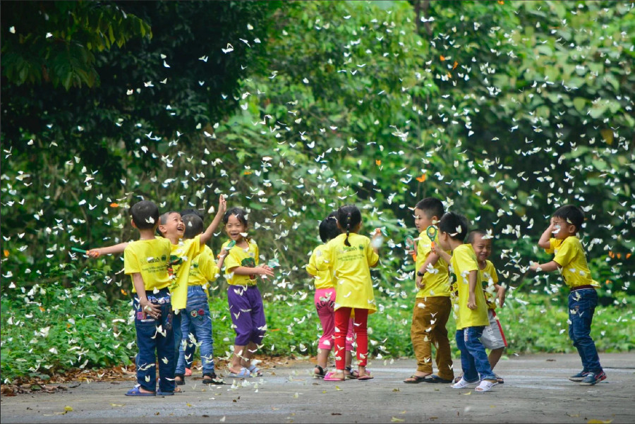 VQG Cúc Phương ôm chứa hệ giá trị đa dạng sinh học vô cùng quý giá, là một trong những nơi có tính đa dạng sinh học cao của Việt Nam. Ảnh: VQG Cúc Phương