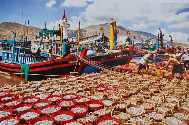 Cá về từ biển cập bến cảng Phan Rang. Ảnh: THIỆN NHÂN Cá về từ biển cập bến cảng Phan Rang. Ảnh: THIỆN NHÂN