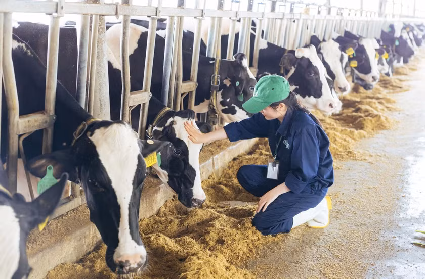 Phát triển chăn nuôi an toàn sinh học, an toàn dịch bệnh, thân thiện với môi trường. Ảnh: Lê Nam