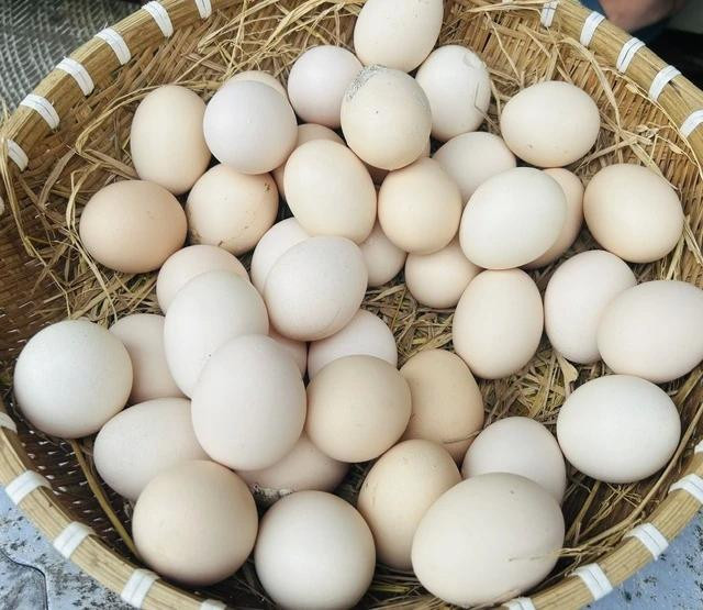 Ăn đủ lượng protein chất lượng cao như cá, trứng, sữa. Ảnh: LÊ CẦM Ăn đủ lượng protein chất lượng cao như cá, trứng, sữa. Ảnh: LÊ CẦM