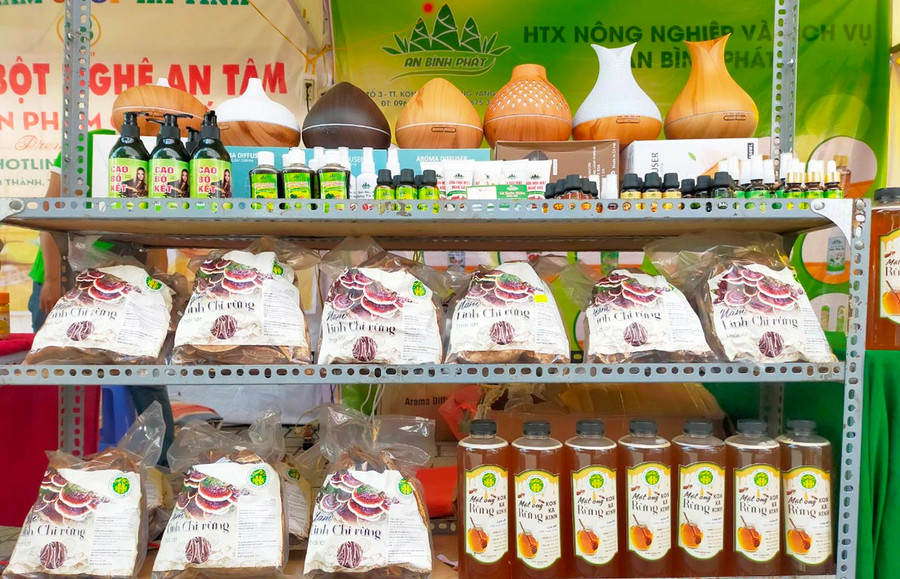 Các sản phẩm nấm linh chi rừng và mật ong rừng của hộ kinh doanh Vũ Thị Chinh được chứng nhận OCOP 3 sao. Ảnh: Lê Nam