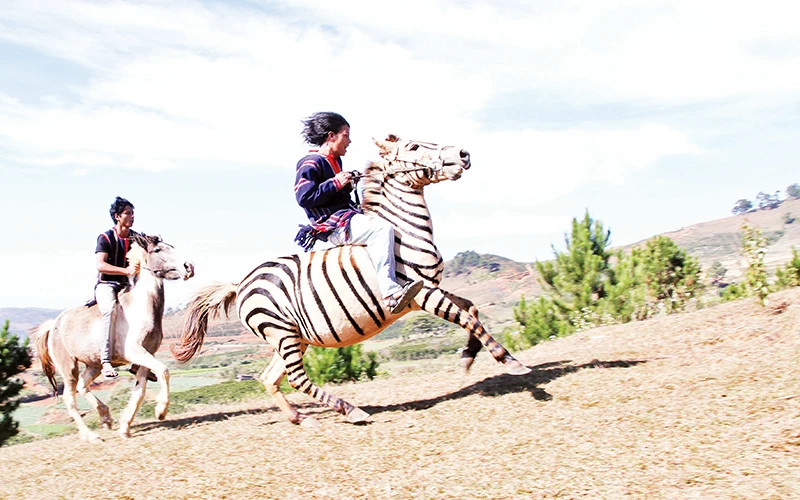 Cuộc đua ngựa không yên chinh phục đỉnh núi Lang Biang. Cuộc đua ngựa không yên chinh phục đỉnh núi Lang Biang.