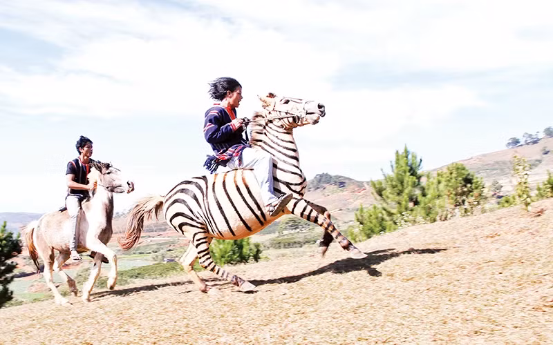 Cuộc đua ngựa không yên chinh phục đỉnh núi Lang Biang.