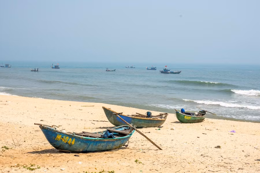 Ốc gạo khan hiếm càng làm tình hình tranh chấp ngư trường nóng lên. Ảnh: Văn Chương