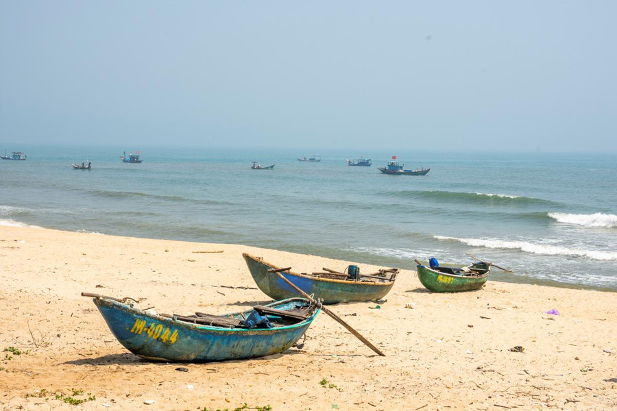 Ốc gạo khan hiếm càng làm tình hình tranh chấp ngư trường nóng lên. Ảnh: Văn Chương