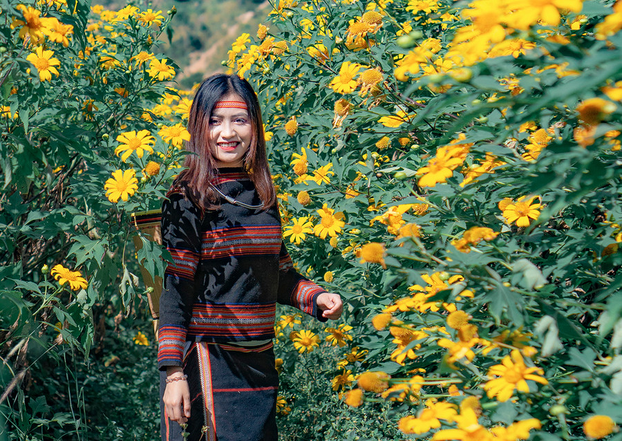 Ảnh minh họa: Phạm Quý Ảnh minh họa: Phạm Quý