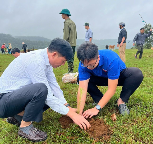 Cây xanh được trồng trên vùng đất Quảng Tâm, huyện Tuy Đức.