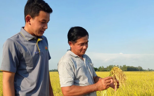 Đề án 1 triệu ha lúa là cách tiếp cận mới, tích hợp đa giá trị, đa lợi ích, đóng góp trách nhiệm cho môi trường (ảnh minh họa)