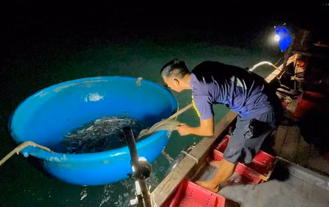 Gian nan nghề 'rớ chồ' biển - Ảnh 3. Chuẩn bị bữa tối trên thuyền đánh bắt