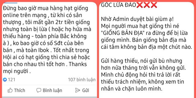 Cảnh báo lừa bán hạt giống, hoa nở hình chim hạc và mèo trên mạng - Ảnh 3. Nhiều người trẻ lên các hội, nhóm cảnh báo về việc lừa đảo giống hoa. CHỤP MÀN HÌNH