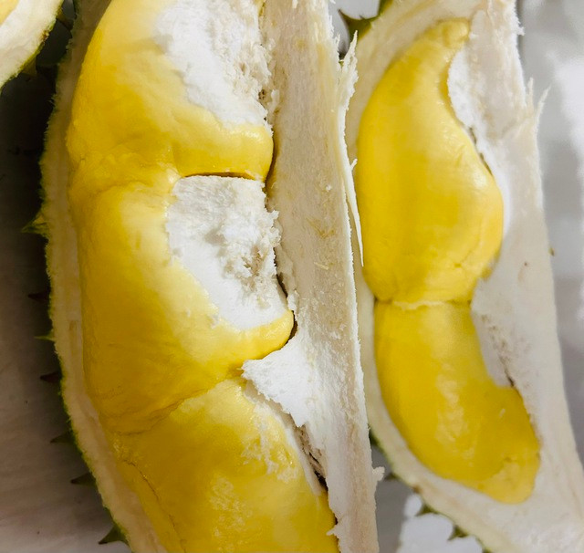 Sầu riêng chứa nhiều dinh dưỡng tốt cho sức khoẻ. Ảnh: LÊ CẦM Sầu riêng chứa nhiều dinh dưỡng tốt cho sức khoẻ. Ảnh: LÊ CẦM