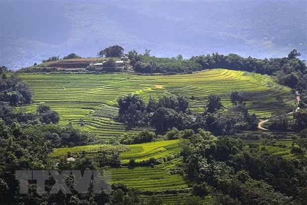 Xen lẫn trên những sườn đồi là ruộng bậc thang và cây rừng, không gian nơi đây vẫn còn nguyên sơ và thanh bình. (Ảnh: Trọng Đạt/TTXVN)