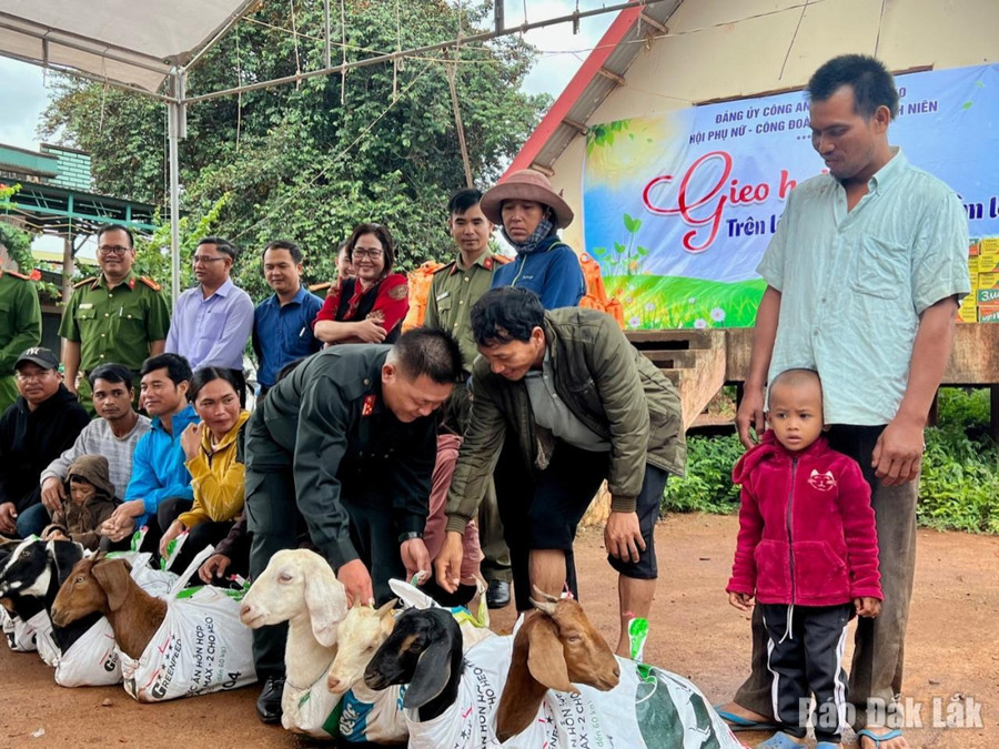 Các hộ dân được nhận dê giống.