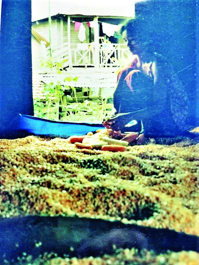 Chị H’Beng đang tách hạt bắp mới thu hoạch trong căn nhà của mình