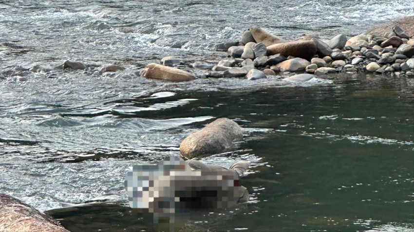 Thi thể người đàn ông dưới sông Đạ Huoai. Thi thể người đàn ông dưới sông Đạ Huoai.