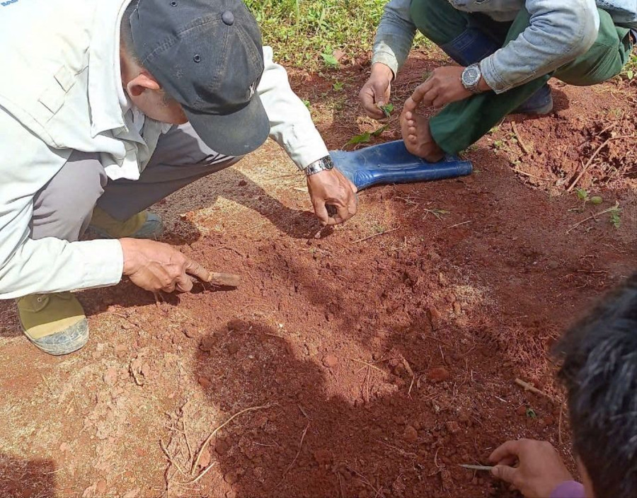 Lực lượng giải toả rừng đạp trúng kim tiêm. Lực lượng giải toả rừng đạp trúng kim tiêm.