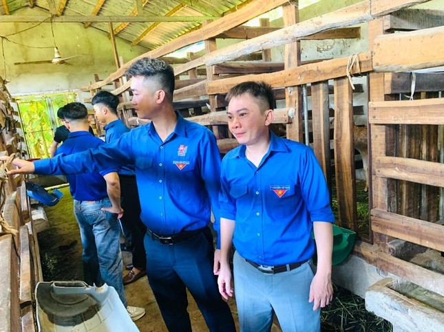 Anh Hồ Văn Hữu - Bí thư Đoàn phường Quỳnh Xuân (TX. Hoàng Mai) cho biết: Mô hình nuôi hươu của đoàn viên Vũ Văn Quế là mô hình tiên phong của Đoàn phường trong lĩnh vực chăn nuôi. Tuy mới thử nghiệm nhưng mô hình nuôi hươu sao của Quế mở ra hướng đi mới thoát nghèo cho những người trẻ, được nhiều đoàn viên, thanh niên trong tỉnh đến tham quan, học tập. Anh Hồ Văn Hữu - Bí thư Đoàn phường Quỳnh Xuân (TX. Hoàng Mai) cho biết: Mô hình nuôi hươu của đoàn viên Vũ Văn Quế là mô hình tiên phong của Đoàn phường trong lĩnh vực chăn nuôi. Tuy mới thử nghiệm nhưng mô hình nuôi hươu sao của Quế mở ra hướng đi mới thoát nghèo cho những người trẻ, được nhiều đoàn viên, thanh niên trong tỉnh đến tham quan, học tập.