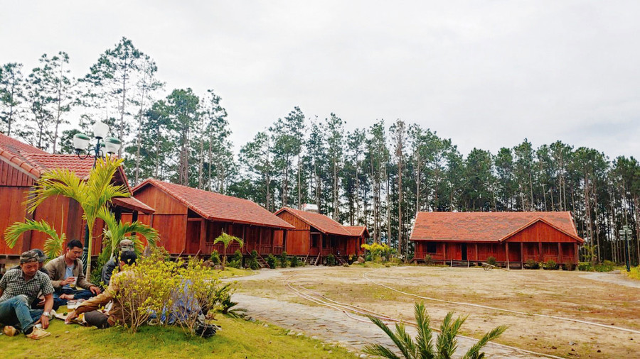 Làng văn hóa Churu ẩn mình trong rừng thông xanh mát.