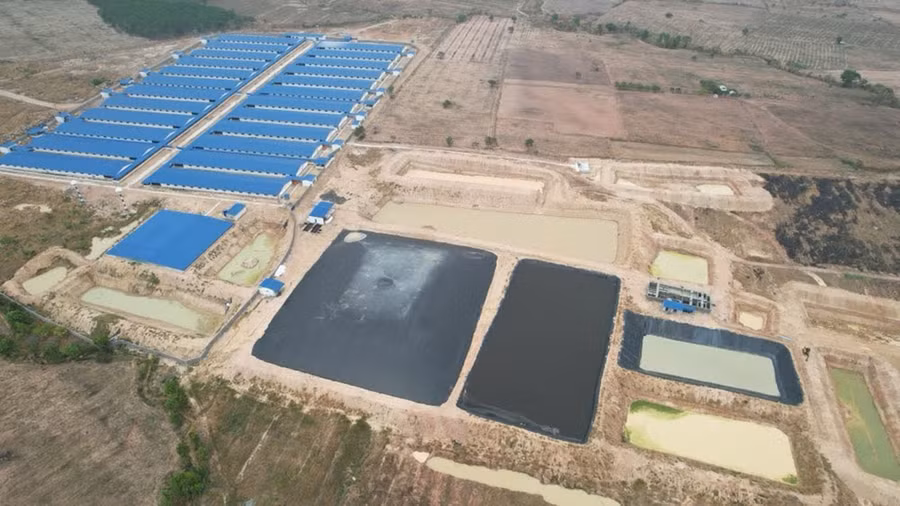 Năm 2023 và 6 tháng đầu năm 2024, toàn tỉnh có 12 đơn vị bị xử phạt vì vi phạm quy định về môi trường trong chăn nuôi. Ảnh: Hồng Thương