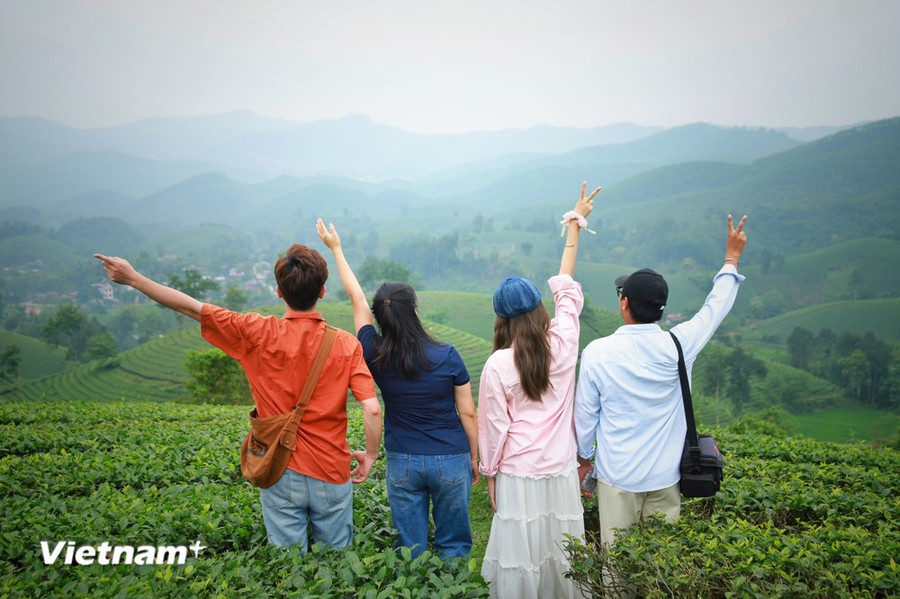 Giới trẻ có xu hướng tìm về với thiên nhiên. (Ảnh: Mai Mai/Vietnam+)