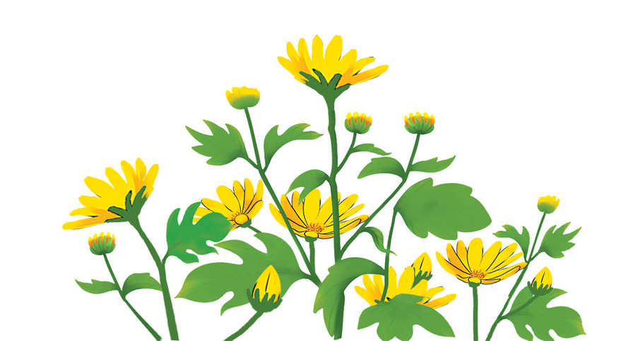 Minh họa: T.N Minh họa: T.N