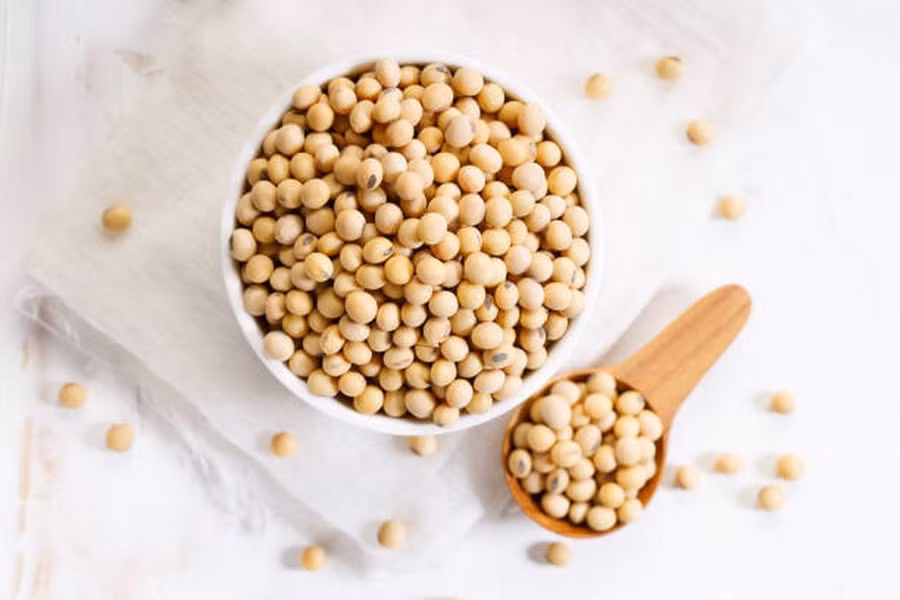 (Ảnh: Getty images) (Ảnh: Getty images)