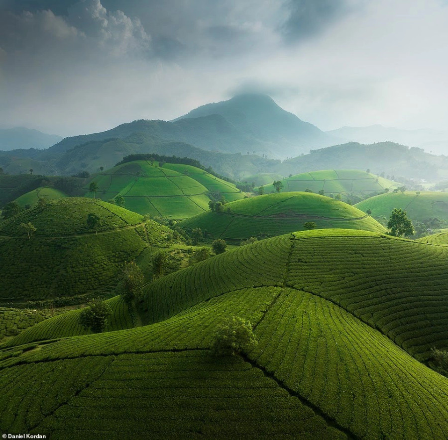 Khung cảnh đồi chè Long Cốc, Phú Thọ Khung cảnh đồi chè Long Cốc, Phú Thọ