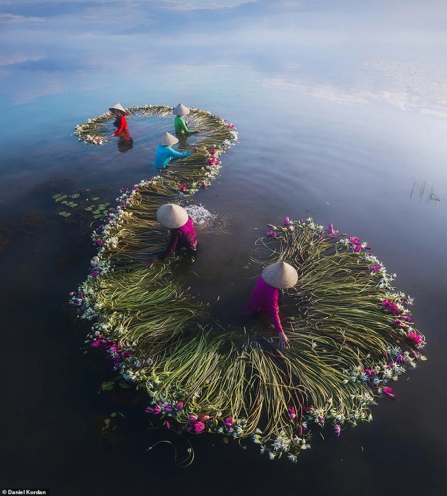 Cảnh rửa bông súng được chụp tại tỉnh Long An. Vào mùa mưa ở vùng đồng bằng, từ tháng 6 đến tháng 11, phụ nữ chèo xuồng thu hoạch bông súng. Cảnh rửa bông súng được chụp tại tỉnh Long An. Vào mùa mưa ở vùng đồng bằng, từ tháng 6 đến tháng 11, phụ nữ chèo xuồng thu hoạch bông súng.