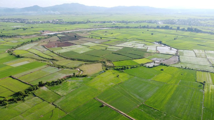 Sau khi thuê đất của các hộ dân ở cánh đồng Ia Vinh để trồng lúa, ông Tiến đã cho người khác thuê lại rồi xảy ra khai thác cát