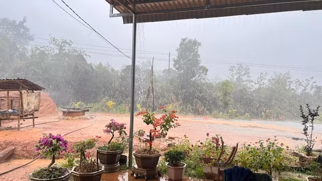 Cơn mưa đầu mùa xuất hiện giúp vùng hạn Kon Tum giải nhiệt. Ảnh: ĐỨC NHẬT