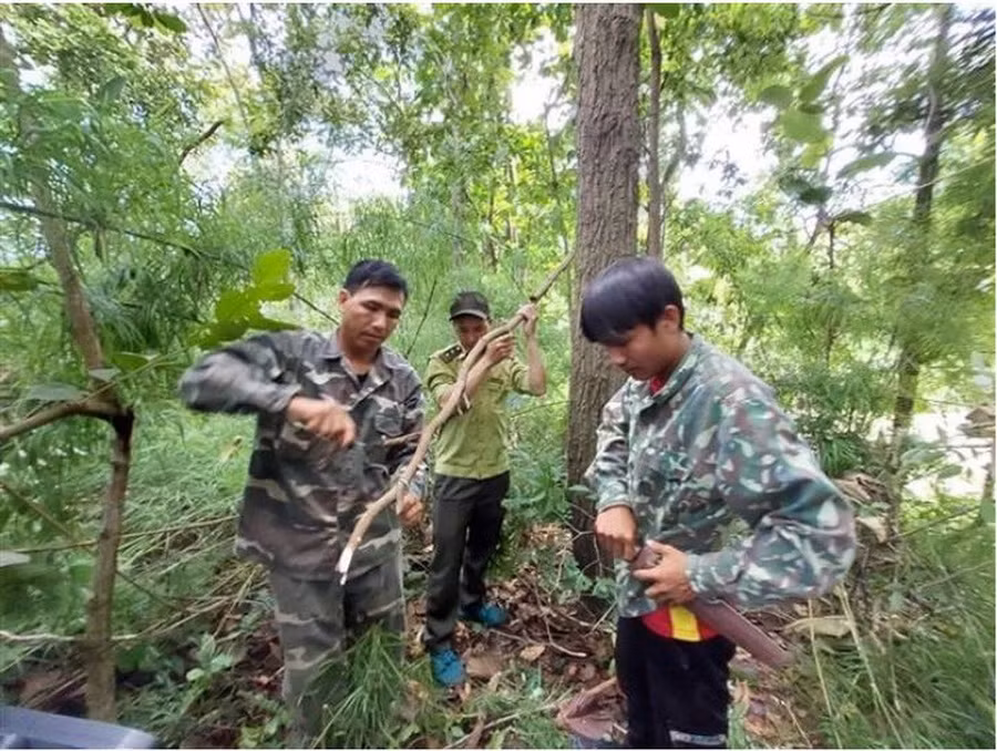 Tổ cộng đồng tuần tra bảo vệ rừng phối hợp với lực lượng kiểm lâm kiểm tra, tháo gỡ bẫy động vật tại Vườn Quốc gia Chư Yang Sin. (Ảnh: TTXVN phát)