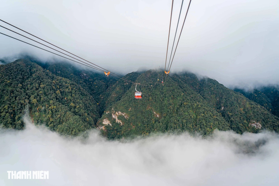 Cáp treo lên đỉnh Fansipan là hệ thống cáp treo 3 dây nổi tiếng thế giới, cáp treo xuất phát từ thung lũng Mường Hoa với thời gian khoảng 20 phút. Từ trên cáp treo, du khách sẽ xuyên qua những đám mây và trong những lúc, bất chợt, thoát ra khỏi chúng để ngắm nhìn trọn vẹn thung lũng Mường Hoa tươi đẹp, tùy từng thời điểm trong năm mà khoác lên mình những tấm áo hấp dẫn khác nhau. Ảnh: BÙI VĂN HẢI