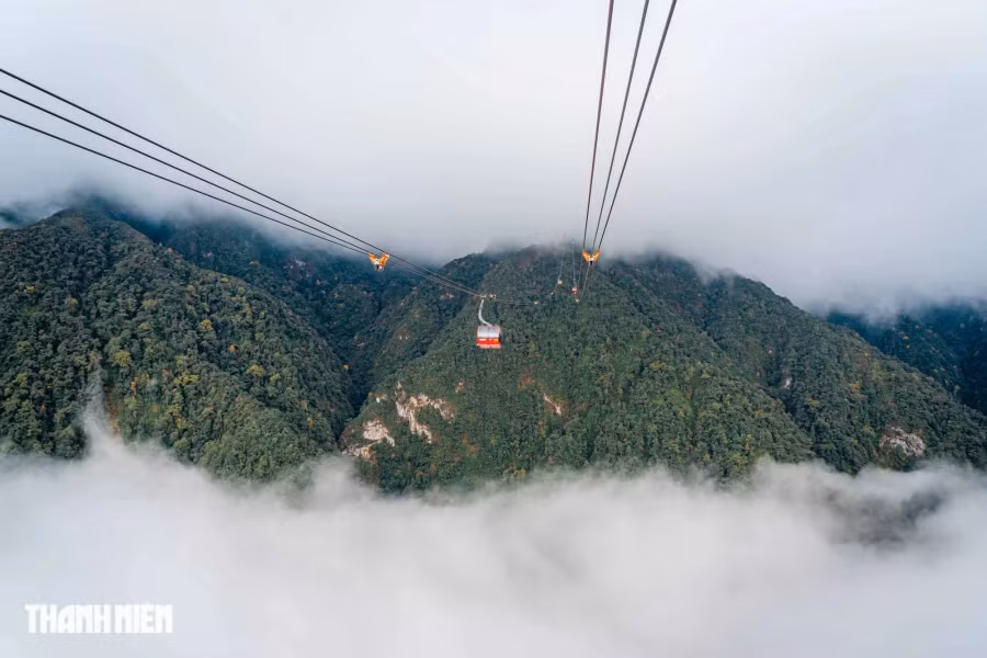 Cáp treo lên đỉnh Fansipan là hệ thống cáp treo 3 dây nổi tiếng thế giới, cáp treo xuất phát từ thung lũng Mường Hoa với thời gian khoảng 20 phút. Từ trên cáp treo, du khách sẽ xuyên qua những đám mây và trong những lúc, bất chợt, thoát ra khỏi chúng để ngắm nhìn trọn vẹn thung lũng Mường Hoa tươi đẹp, tùy từng thời điểm trong năm mà khoác lên mình những tấm áo hấp dẫn khác nhau. Ảnh: BÙI VĂN HẢI