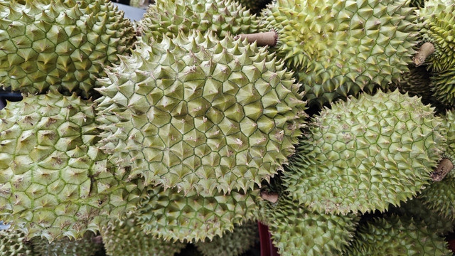 30 lô sầu riêng của Việt Nam bị Trung Quốc cảnh báo nhiễm chì