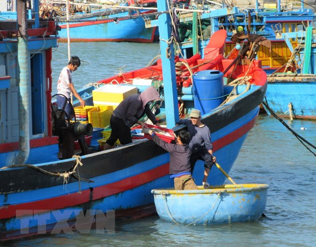 Ngư dân vận chuyển hải sản sau khai thác đưa lên bờ bán ở chợ Nại. (Ảnh: TTXVN phát) Ngư dân vận chuyển hải sản sau khai thác đưa lên bờ bán ở chợ Nại. (Ảnh: TTXVN phát)