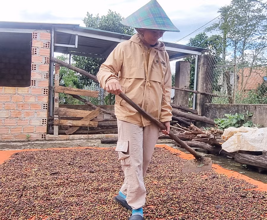 Nhiều hộ nghèo đã thay đổi tư duy, tập quán sản xuất, từng bước áp dụng tiến bộ kỹ thuật để tăng năng suất cây trồng, vật nuôi, tạo sinh kế bền vững. Ảnh: Hà Phương