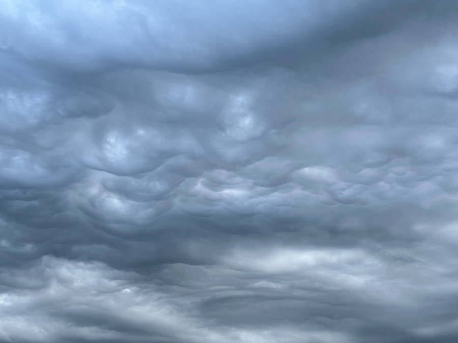 Đây là hiện tượng hiếm gặp. Ảnh: Nguyễn Thanh Hòa Đây là hiện tượng hiếm gặp. Ảnh: Nguyễn Thanh Hòa