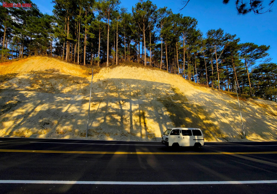Mỗi bình minh hoặc hoàng hôn, rừng thông được nắng "in" vào bờ taluy tạo nên khung cảnh thú vị như tranh vẽ trên con đường mới. Anh Lê Cường, du khách TP HCM, đưa gia đình lên Đà Lạt nghỉ ngơi dịp Tết Dương lịch 2024 đánh giá cao tuyến đường mới, xóa được tình trạng ùn tắc và nguy hiểm trên cung đèo cũ. "Rất thênh thang và quá đẹp", anh Cường chia sẻ cảm nhận. Mỗi bình minh hoặc hoàng hôn, rừng thông được nắng "in" vào bờ taluy tạo nên khung cảnh thú vị như tranh vẽ trên con đường mới. Anh Lê Cường, du khách TP HCM, đưa gia đình lên Đà Lạt nghỉ ngơi dịp Tết Dương lịch 2024 đánh giá cao tuyến đường mới, xóa được tình trạng ùn tắc và nguy hiểm trên cung đèo cũ. "Rất thênh thang và quá đẹp", anh Cường chia sẻ cảm nhận.