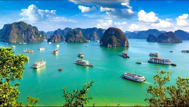 Đi thuyền trên vịnh Hạ Long, vịnh Lan Hạ lọt top 3 trải nghiệm thú vị nhất thế giới. Đi thuyền trên vịnh Hạ Long, vịnh Lan Hạ lọt top 3 trải nghiệm thú vị nhất thế giới.