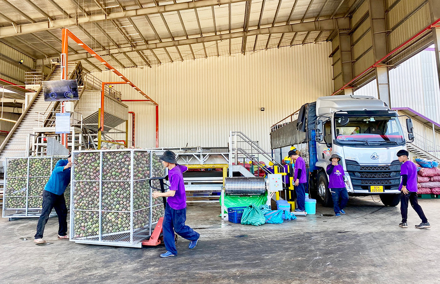 Ban Quản lý Khu Kinh tế tỉnh luôn giữ vai trò chủ đạo trong việc kết nối, đồng hành cùng các doanh nghiệp. Ảnh: Hà Duy Ban Quản lý Khu Kinh tế tỉnh luôn giữ vai trò chủ đạo trong việc kết nối, đồng hành cùng các doanh nghiệp. Ảnh: Hà Duy