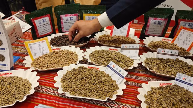 Các mẫu cà phê nhân