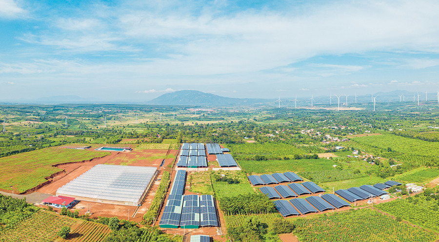 Gia Lai đang tập trung kêu gọi đầu tư vào các lĩnh vực chính là nông nghiệp ứng dụng công nghệ cao, công nghiệp chế biến sâu, năng lượng tái tạo và du lịch. Ảnh: Phạm Quý