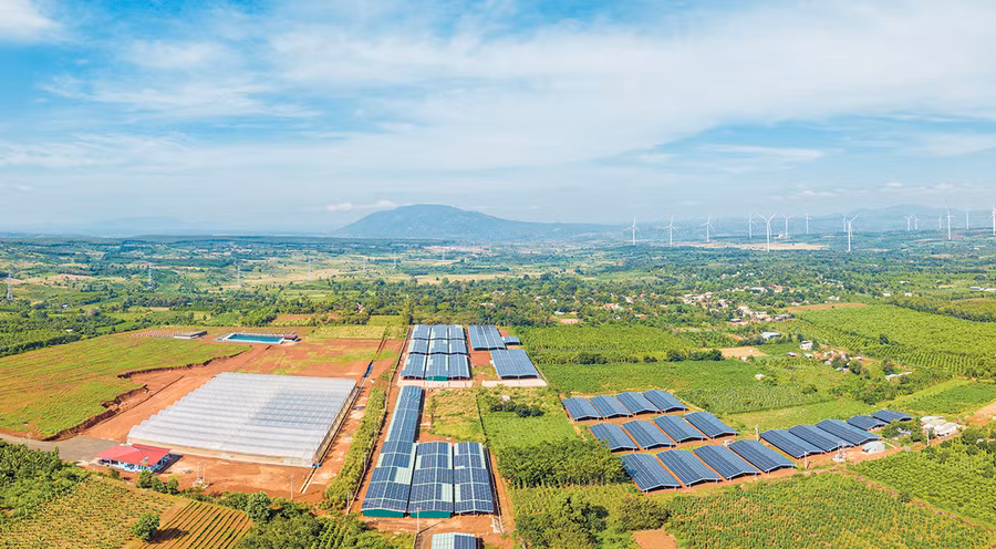 Gia Lai đang tập trung kêu gọi đầu tư vào các lĩnh vực chính là nông nghiệp ứng dụng công nghệ cao, công nghiệp chế biến sâu, năng lượng tái tạo và du lịch. Ảnh: Phạm Quý