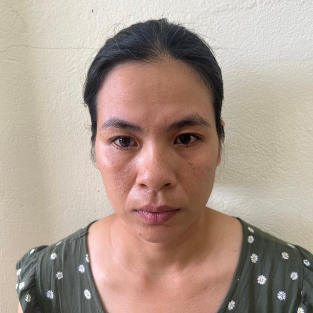 Mai Lệ Huyền bị khởi tố, tạm giam. Ảnh: NGUYỄN TÚ