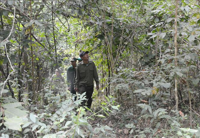 Lực lượng quản lý, bảo vệ rừng Khu bảo tồn thiên nhiên Ea Sô tuần tra khu vực giáp ranh với xã Ea Dăh (Krông Năng, Đắk Lắk). Lực lượng quản lý, bảo vệ rừng Khu bảo tồn thiên nhiên Ea Sô tuần tra khu vực giáp ranh với xã Ea Dăh (Krông Năng, Đắk Lắk).