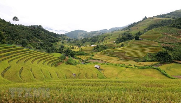 Danh thắng Quốc gia Ruộng bậc thang Mù Cang Chải. (Ảnh: Nhật Anh/TTXVN) Danh thắng Quốc gia Ruộng bậc thang Mù Cang Chải. (Ảnh: Nhật Anh/TTXVN)