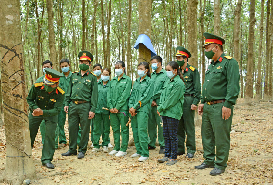 Cán bộ kỹ thuật Công ty 78 hướng dẫn lao động là người DTTS kỹ thuật cạo mủ cao su. Ảnh: D.Đ.N