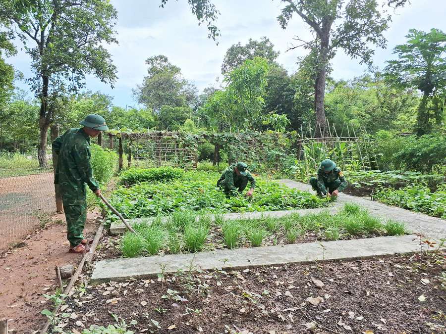 Cán bộ, chiến sĩ Chốt 2 (Đồn Biên phòng Ia Lốp) tăng gia sản xuất. Ảnh: H.S Cán bộ, chiến sĩ Chốt 2 (Đồn Biên phòng Ia Lốp) tăng gia sản xuất. Ảnh: H.S