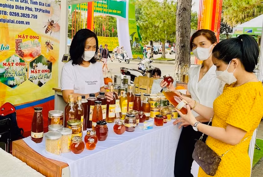 Phân hạng sản phẩm Chương trình OCOP căn cứ vào kết quả đánh giá sản phẩm theo Bộ tiêu chí OCOP. Ảnh: Ngọc Sang