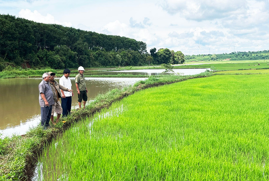 Thủ tướng yêu cầu tăng cường thực hiện các biện pháp phòng-chống nắng nóng, hạn hán, thiếu nước, xâm nhập mặn. Ảnh: P.V
